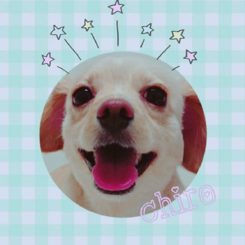 Chiro 