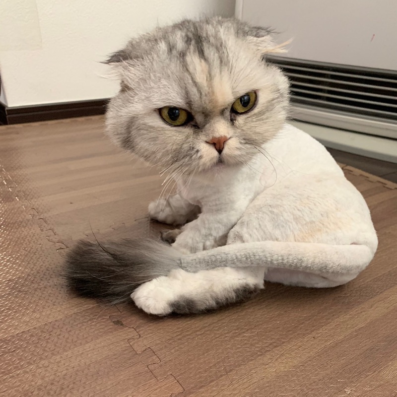 薄井