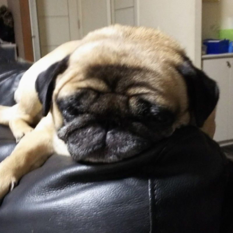 高木　美紀