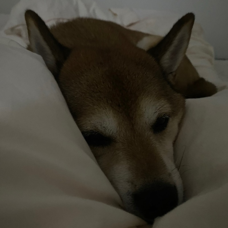 中村一真