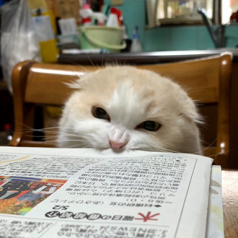 だーやま