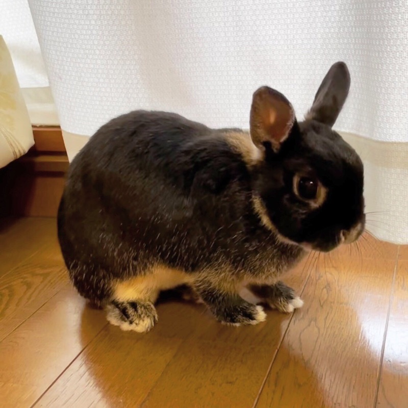 加藤　敬子