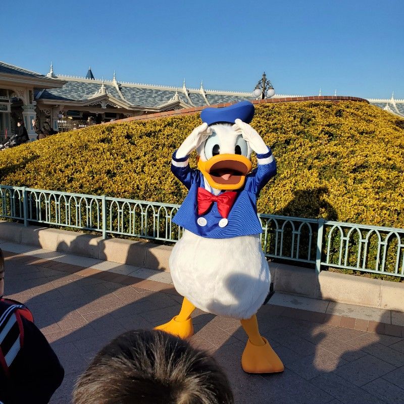 東めぐみ