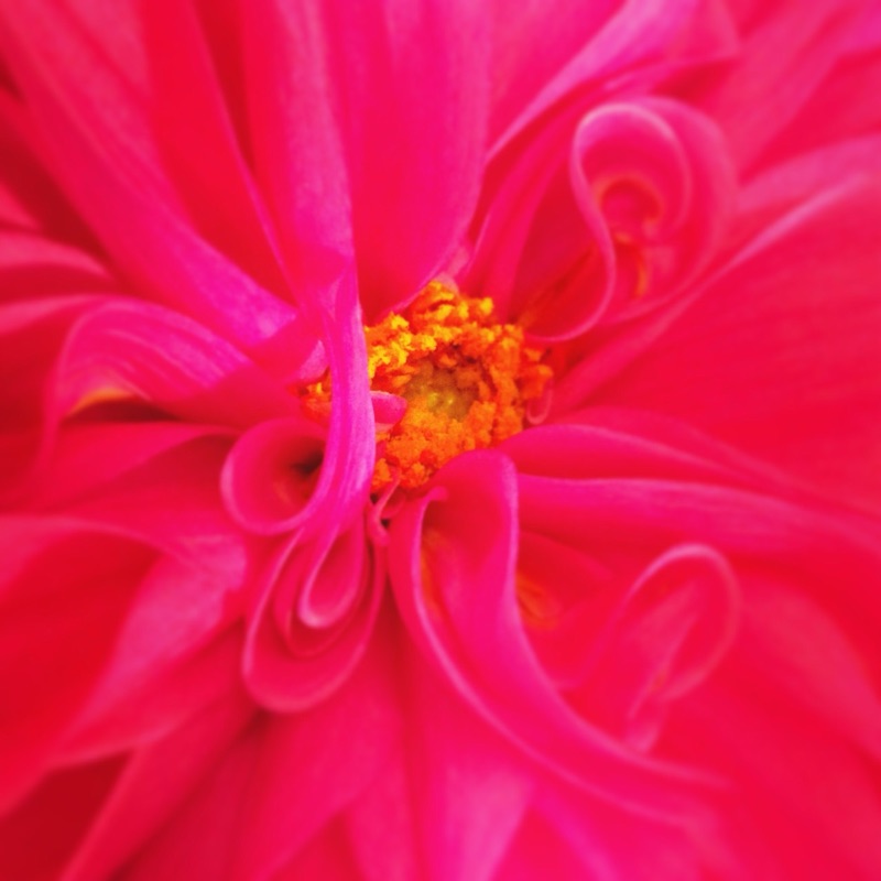 福永　真由花