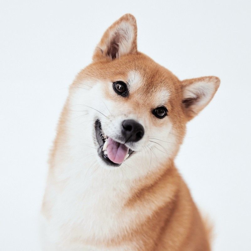 郷陽子
