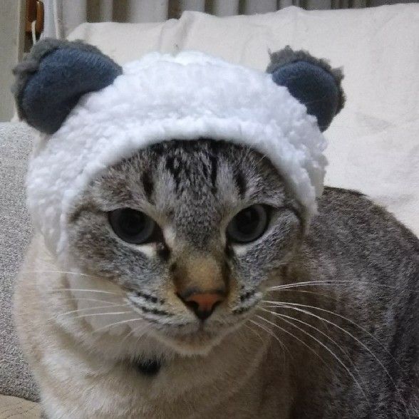 雫
