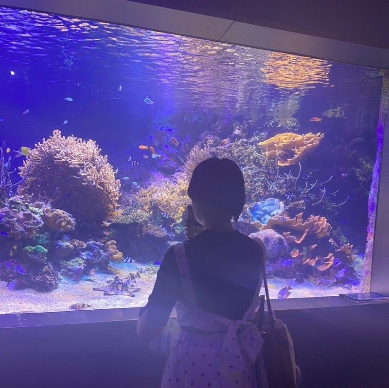 稲川真生子