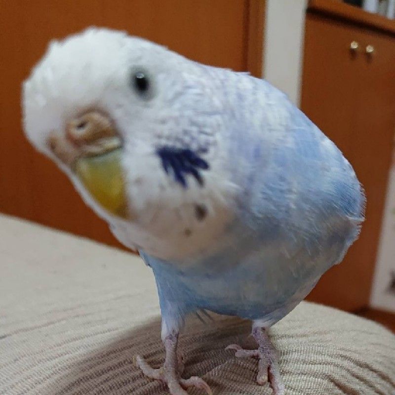 奥原ナミ