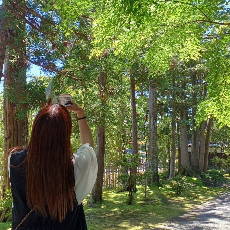 Sasa