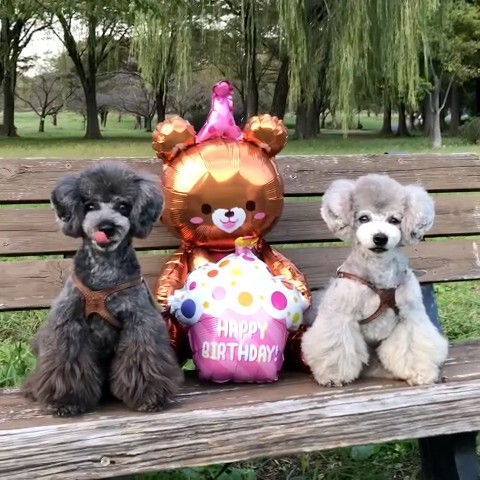土肥　千鶴