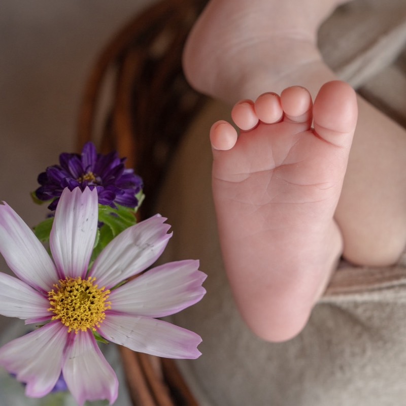 銀のインディアン