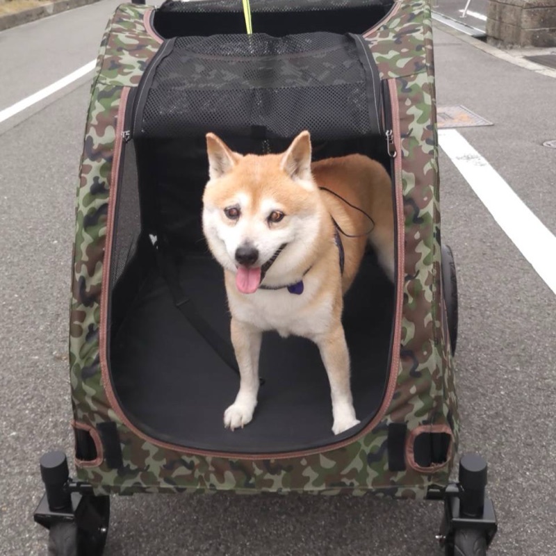 大井川恭子