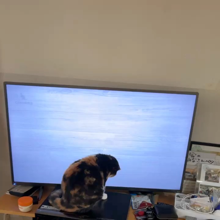 佐藤翼人