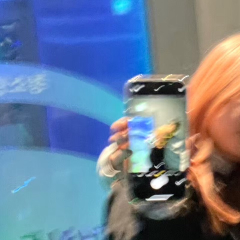 中野 未沙