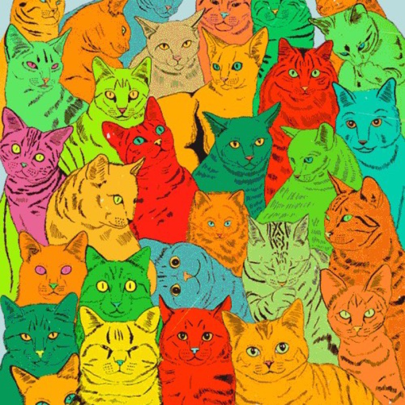 ナカヤマ　ユウ