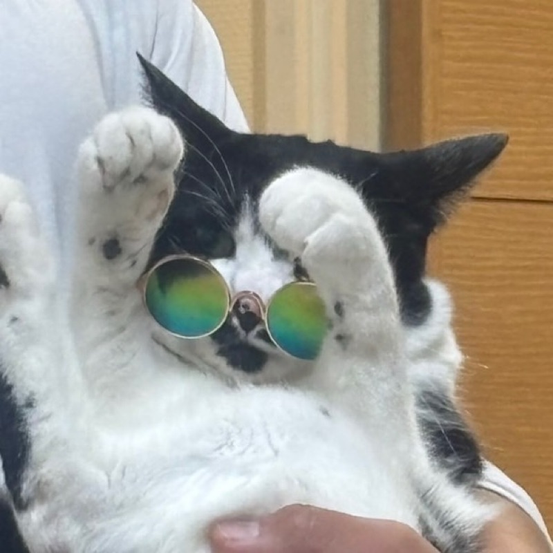 E.O