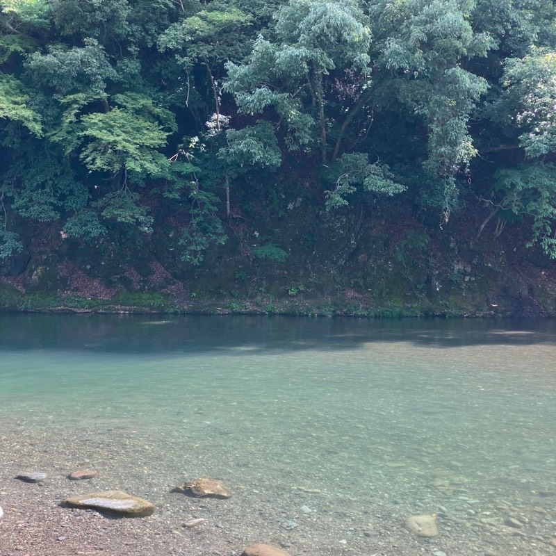 山本梨奈