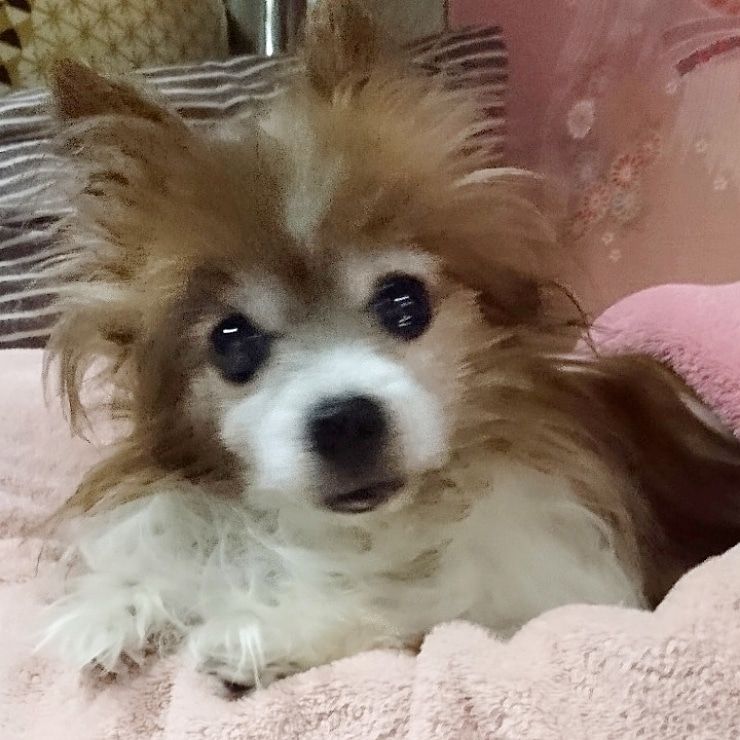 雲丹亀 美紀