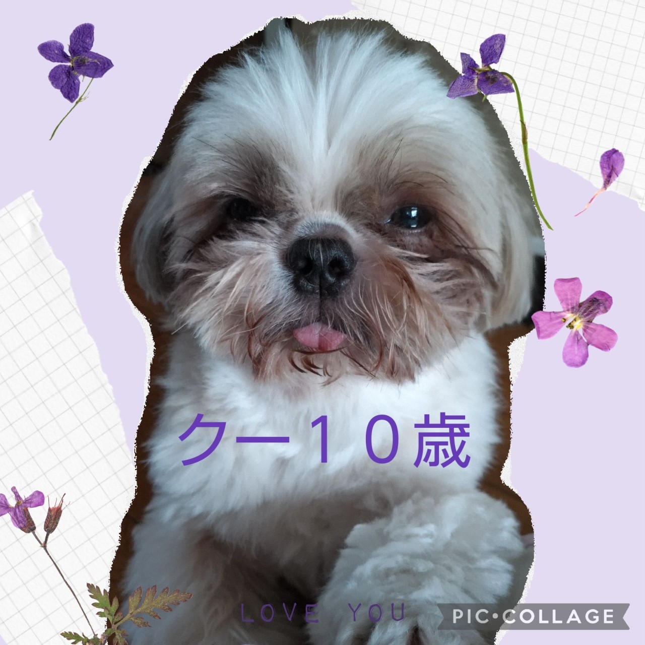 伊藤　陽子