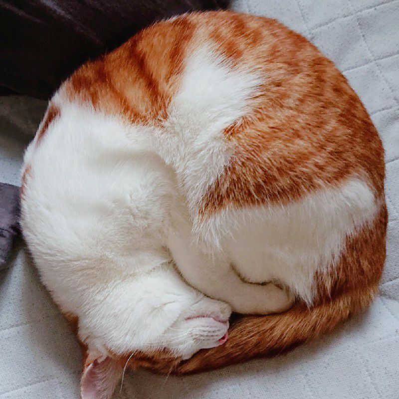 m谷