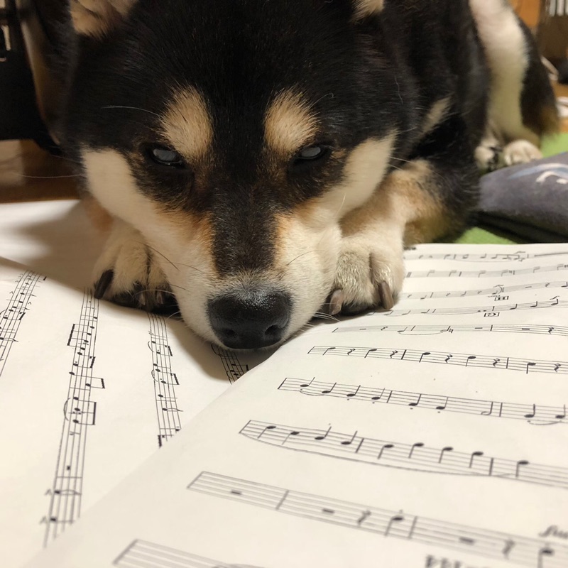 たかの