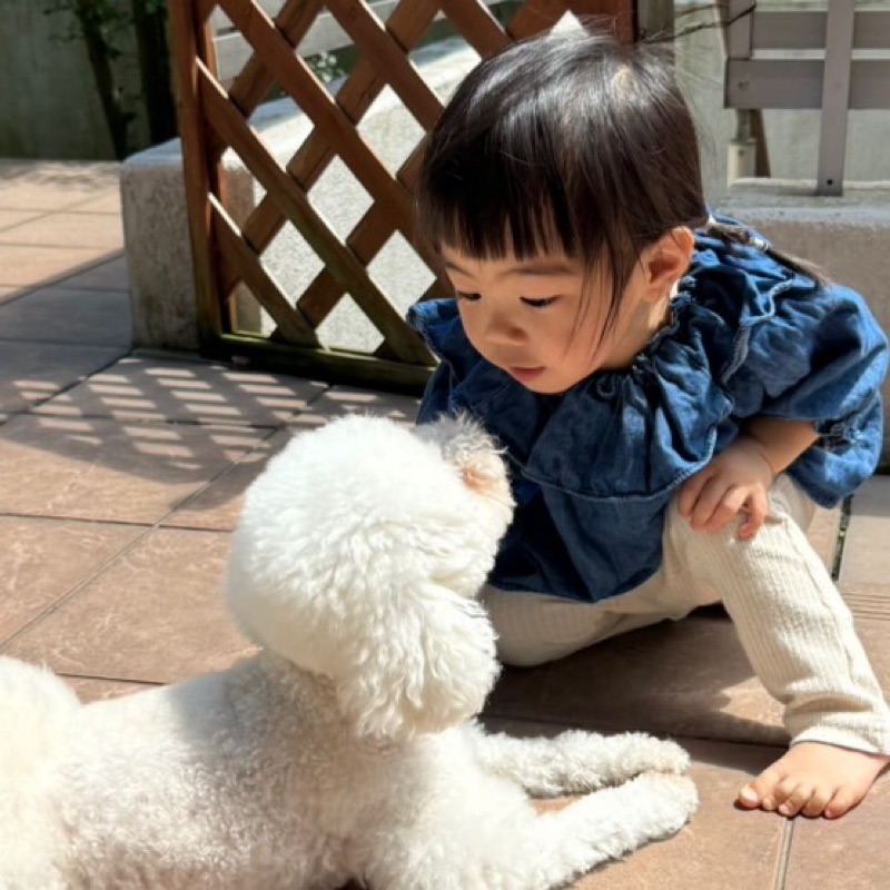 やっちゃん