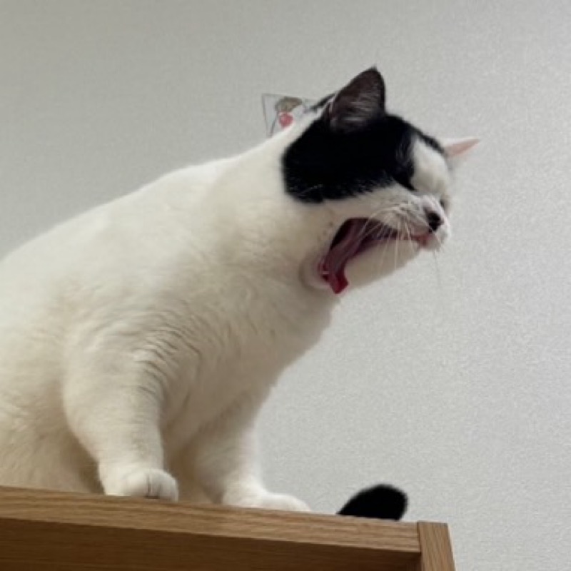加藤直子