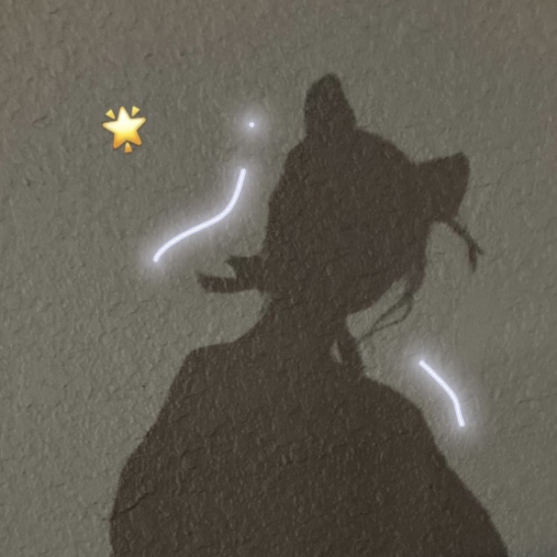サ