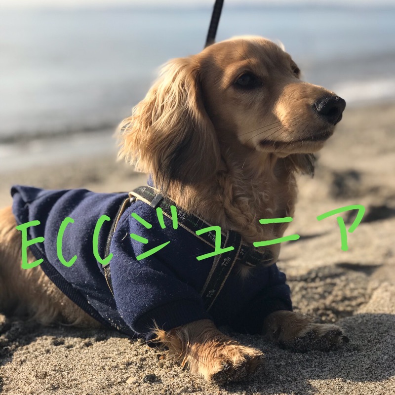 木塚　生美