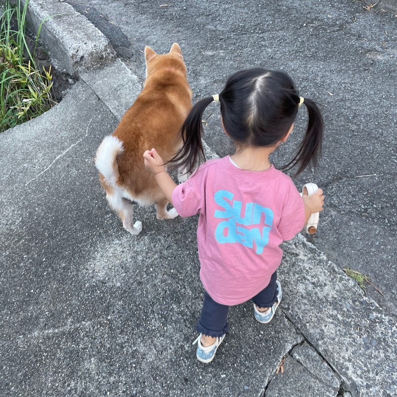 大野　麻視