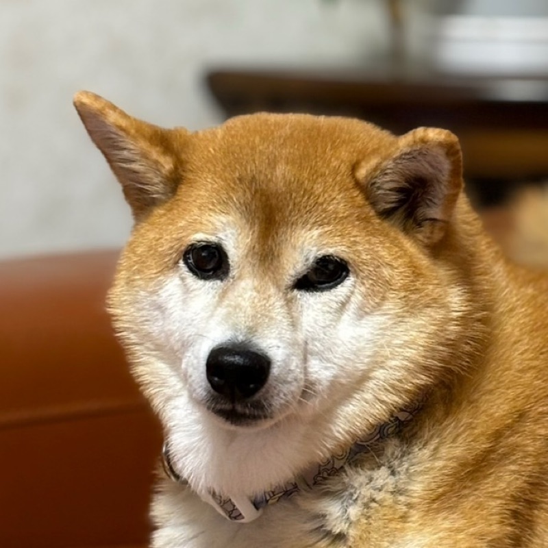 麻生 