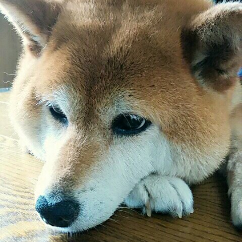 三浦めぐみ