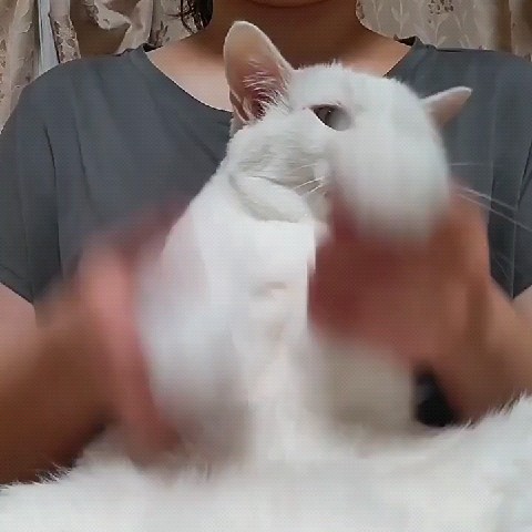 北村麻衣