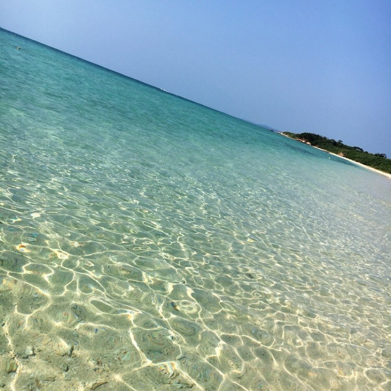 和田くる実