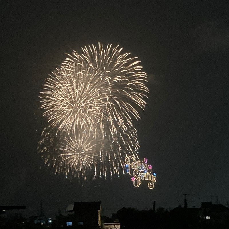 ニコ山