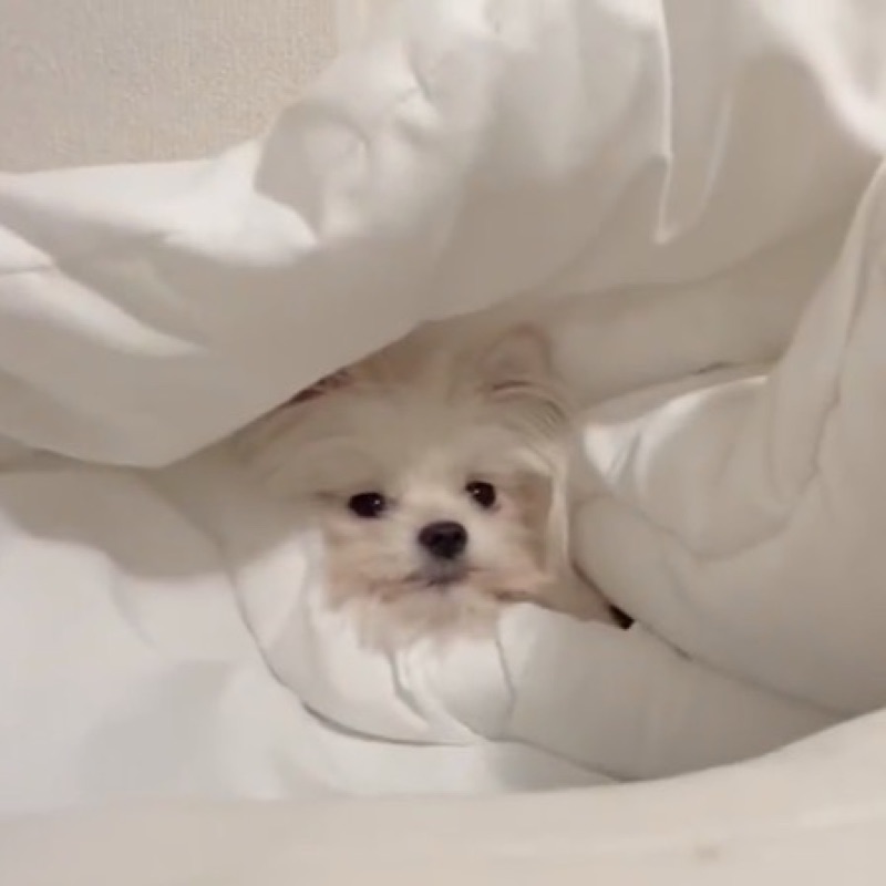 (^｡^)⭐︎