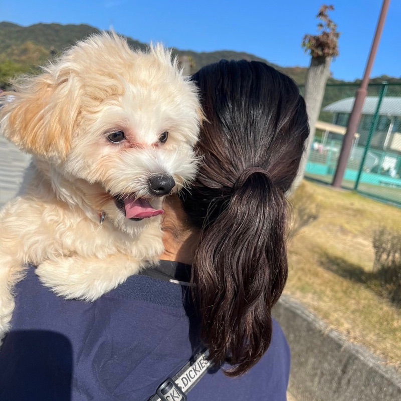 犬飼のどか