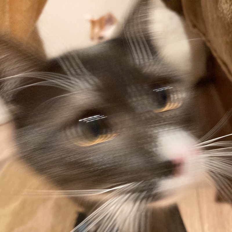 ふゆ