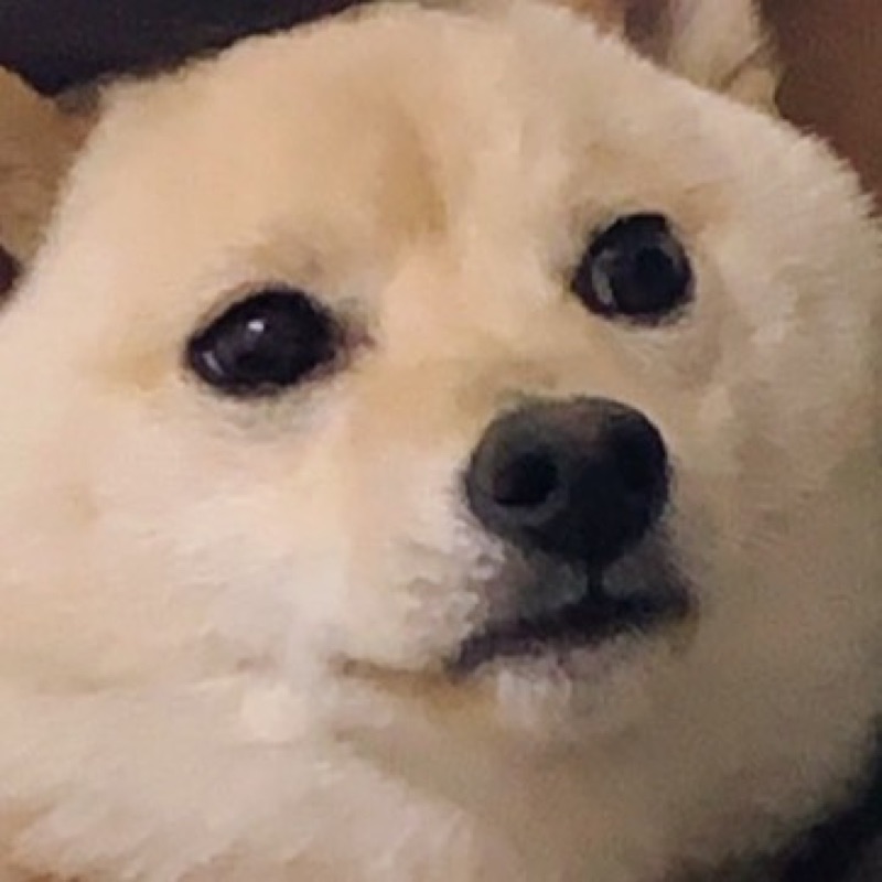 こた