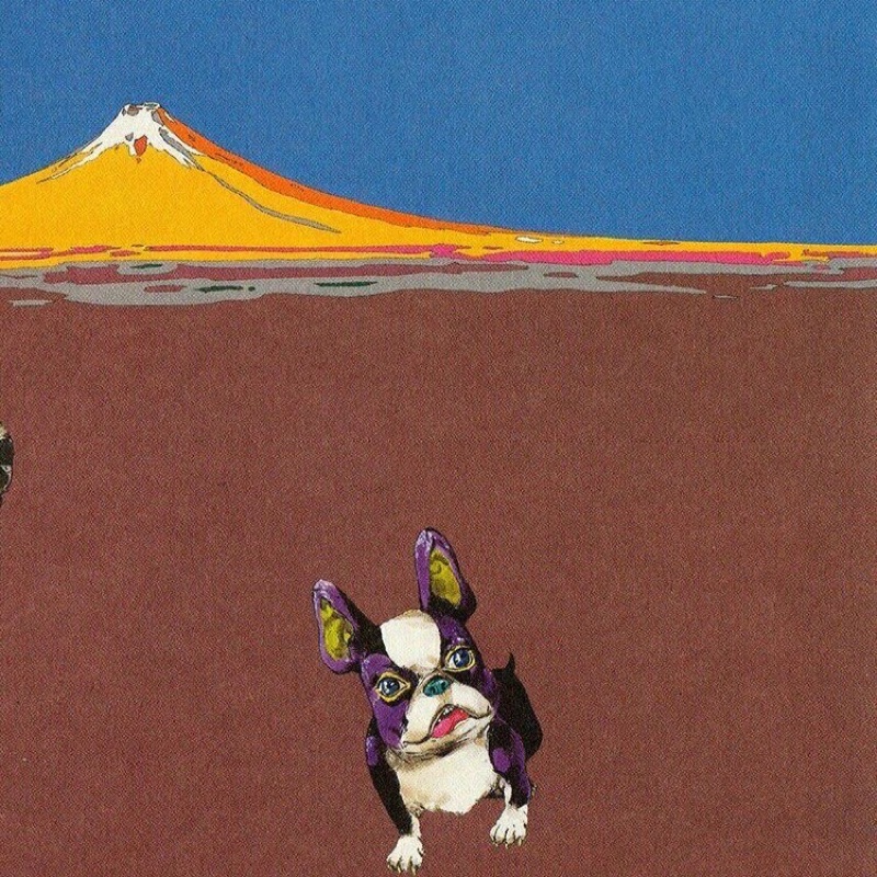 たいよー