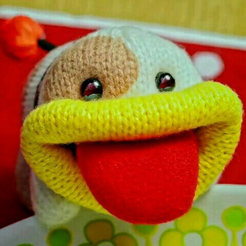 コロちゃん