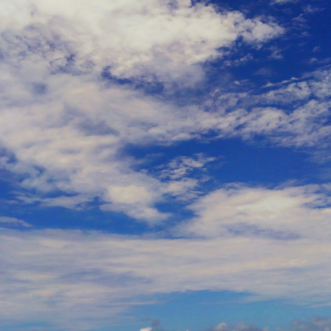神村　恵