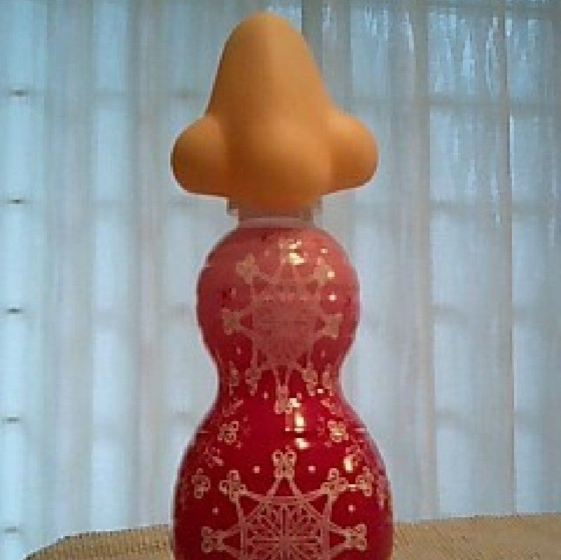 劉 志奈
