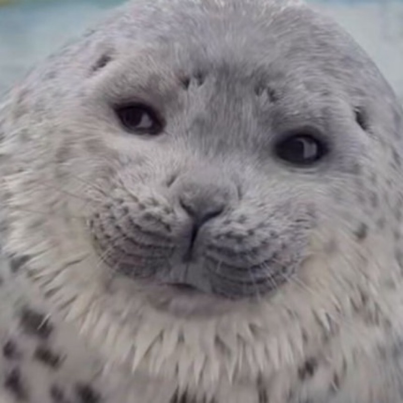 ダイアンのTOKYOSTYLE