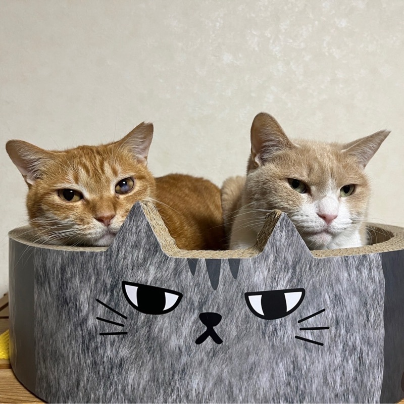 こんどう
