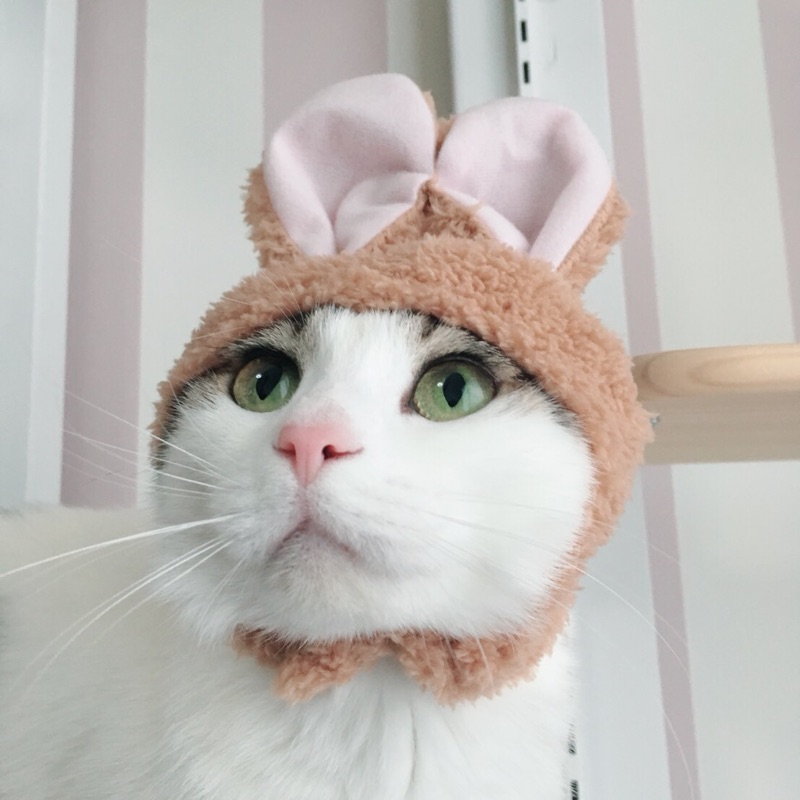 そのだ