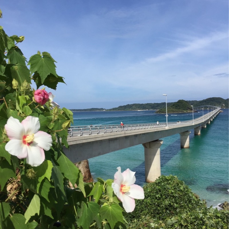 マロマロ