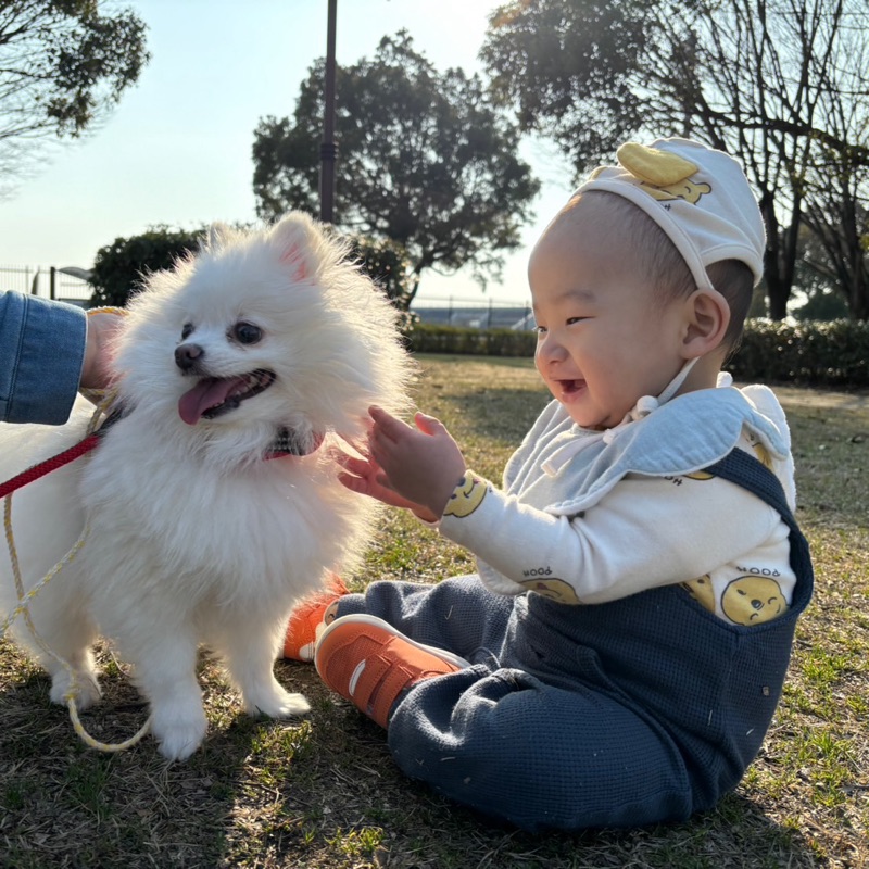 ぽ
