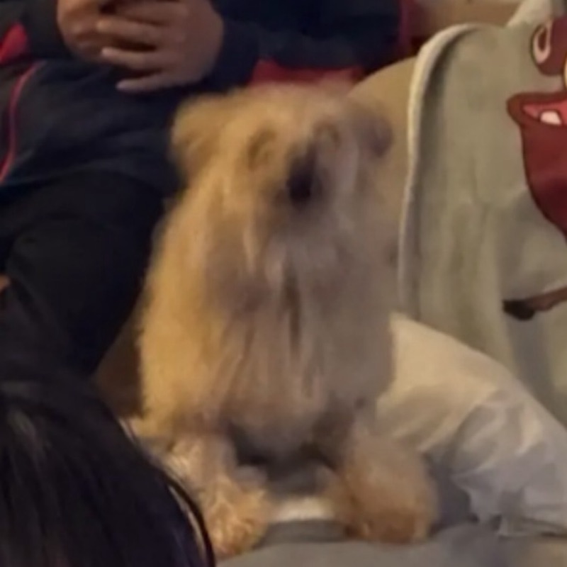 りおん