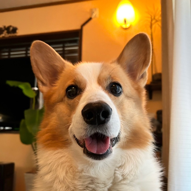 kudo.erika